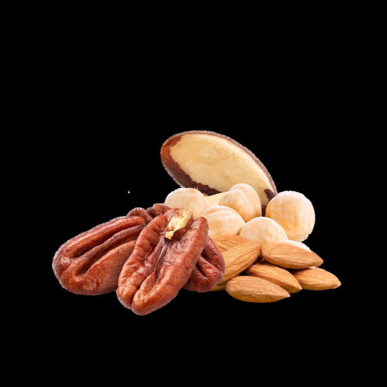 Your Parrot Nueces silvestres sin cáscara para loros thumbnail