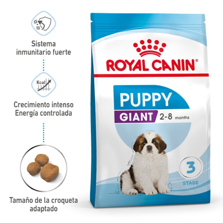 Royal Canin Puppy Giant pienso para perros, , large image number null