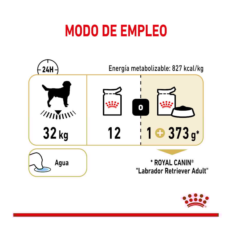 Royal Canin Labrador Sobres para perros thumbnail