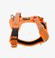 Arn&eacute;s CountryFox&trade; Pro &bull; Naranja, , large indicador imagen numero 4