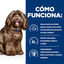 12 kg Hill's Prescription Diet b/d Ageing and Alertness Care Pollo pienso para perros, , large indicador imagen numero 5