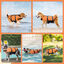 Nobleza - Chaleco Salvavidas para Perros， Flotador Perro con Tiras Reflectantes， Chaleco de Natación para Perro con Alta Flotabilidad y Mango de Rescate Duradero para Nadar， Surf， Navegar， Naranja(S), , large indicador imagen numero 4