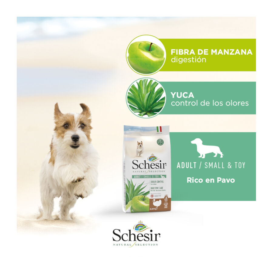 2.24 kg Schesir Adult Small&Toy Natural Selection Pavo pienso para perros, , large Imagen numero 6