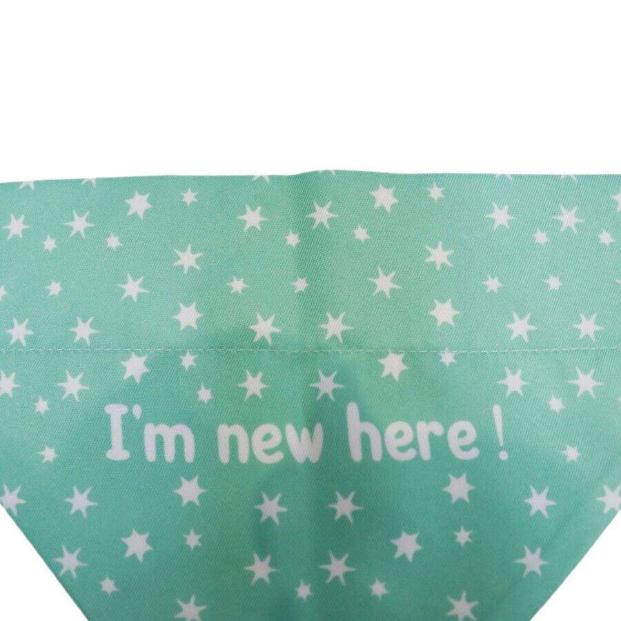 Gotoo Bandana estampada verde para perros, , large Imagen numero 4