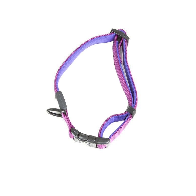 TK-Pet Neo Classic Collar de Nylon Morado para perros thumbnail