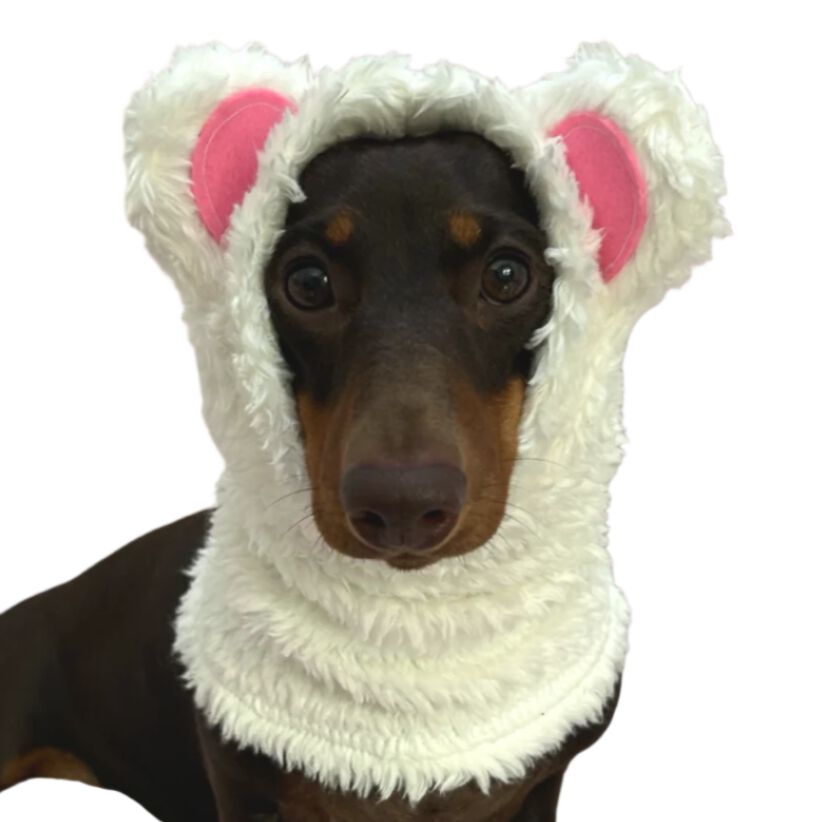 Gorro  bufanda para perros - Oso polar, , large Imagen numero 2