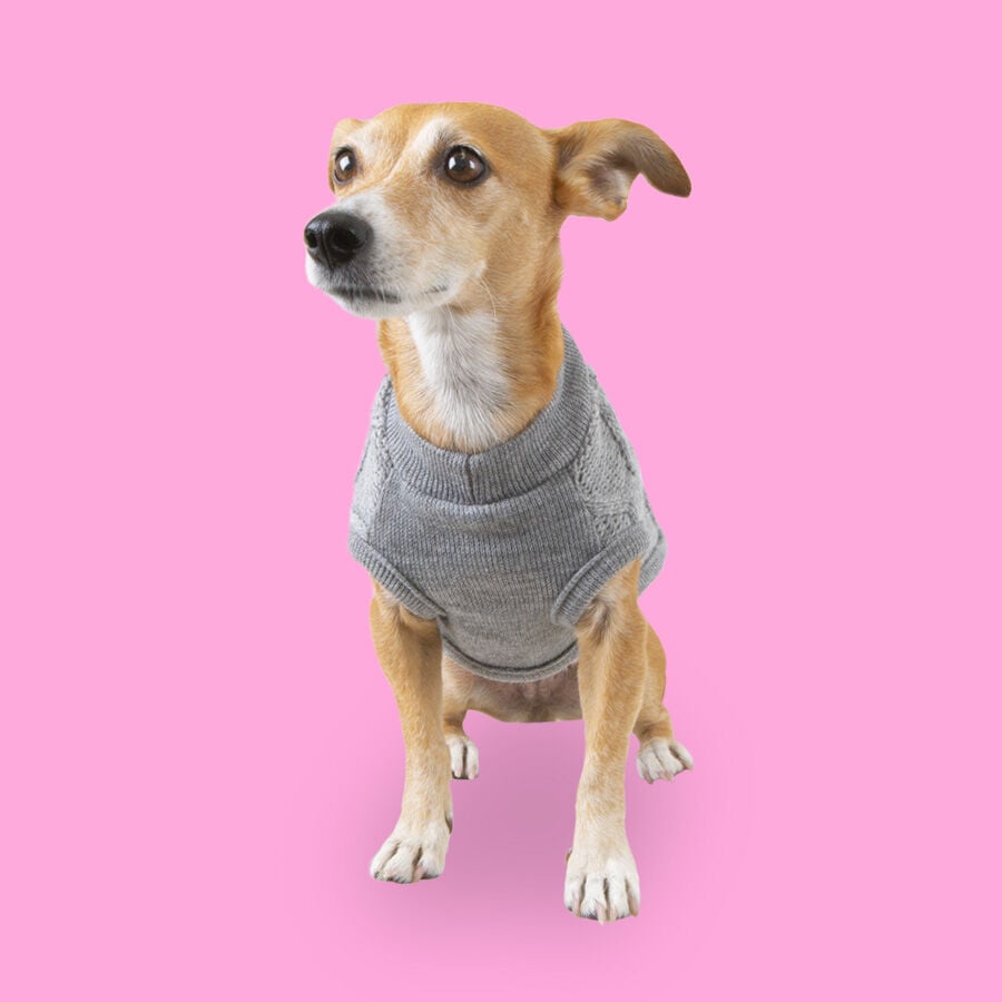 Outech Rombos Jersey de Punto Gris para perros, , large Imagen numero 2