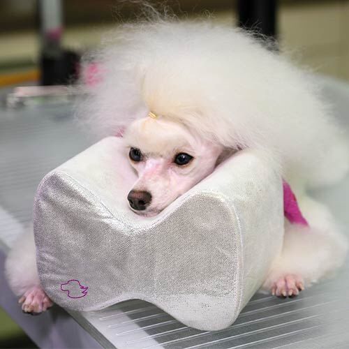 Almohada Ib&aacute;&ntilde;ez ALMOHADA IB&Aacute;&Ntilde;EZ PEQUE&Ntilde;A, , large Imagen numero 3