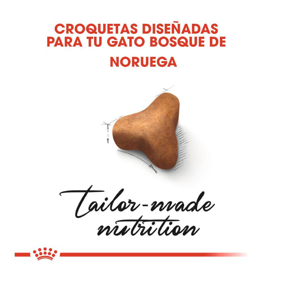 Royal Canin Adult Norwegian Forest pienso para gatos thumbnail