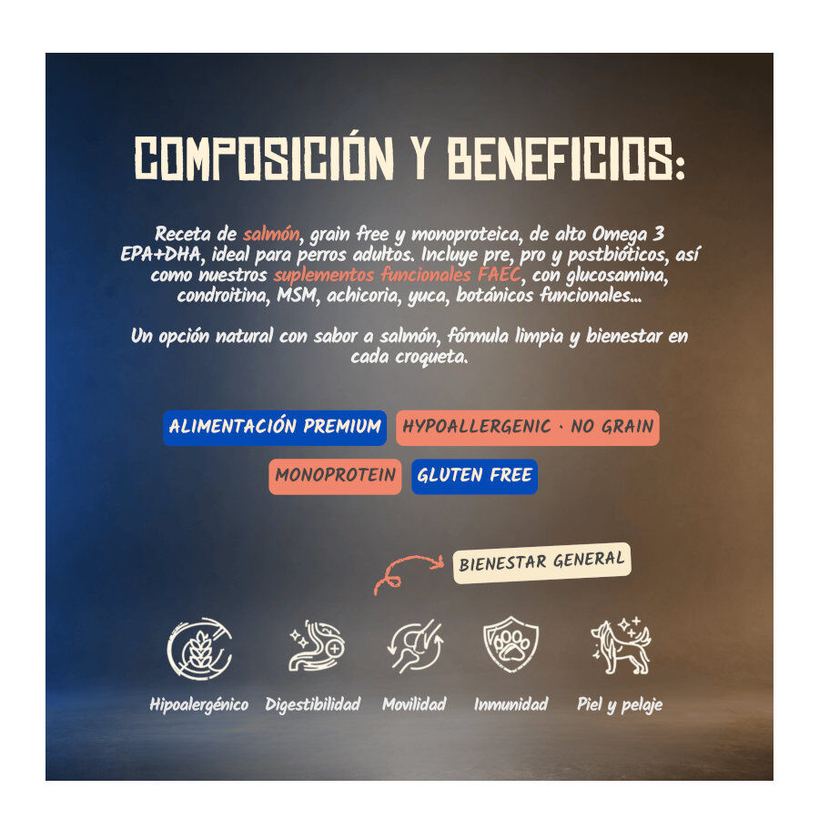 2 Kg Lenda Grain Free Salm&oacute;n pienso para perros, , large Imagen numero 6