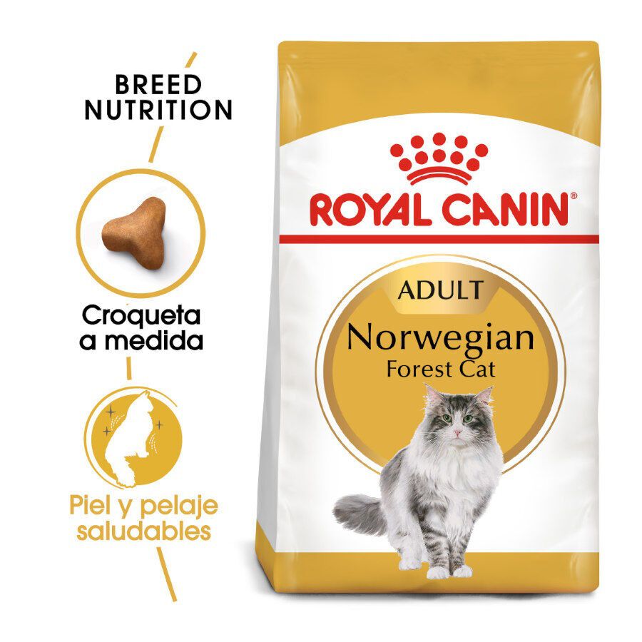 Royal Canin Adult Norwegian Forest pienso para gatos thumbnail