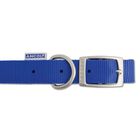 Collar impermeable Ancol de nylon para perros color Azul, , large image number null
