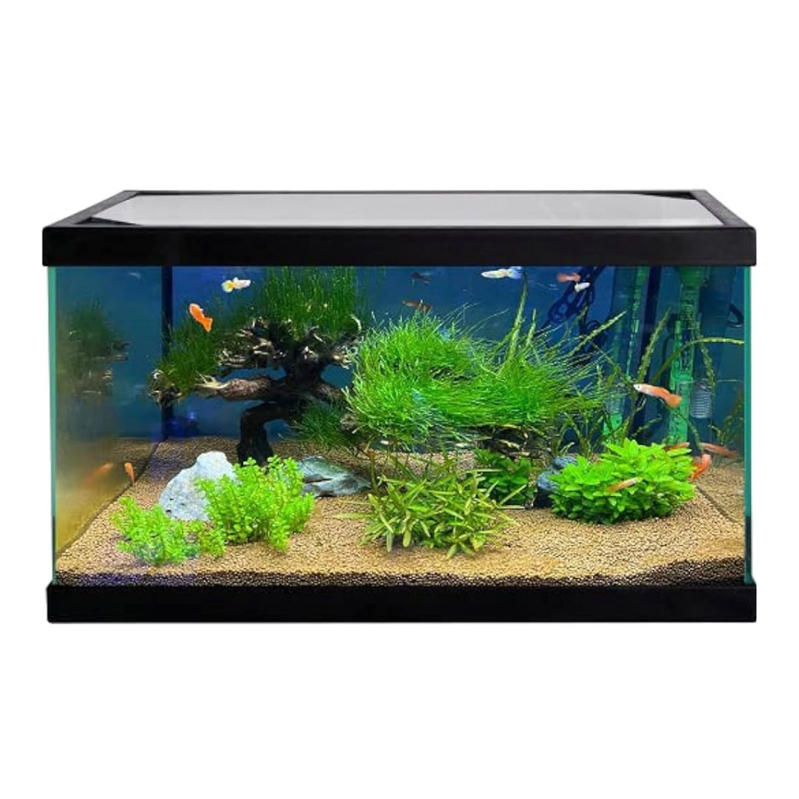 Acuario Akkua Basic Compact de cristal float para peces, , large Imagen numero 1