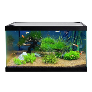 Acuario Akkua Basic Compact de cristal float para peces