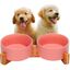 Edipets comedero y bebedero de porcelana rosa para perros, , large indicador imagen numero 1
