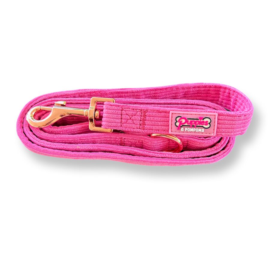 CORREA DE PERRO - PANA DE LUJO ROSA, , large Imagen numero 1