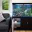Acuario de 300L con Mueble Negro, Accesorios y Grava Azul, , large indicador imagen numero 5