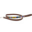 Correa Charro para perros color Multicolor, , large indicador imagen numero 1