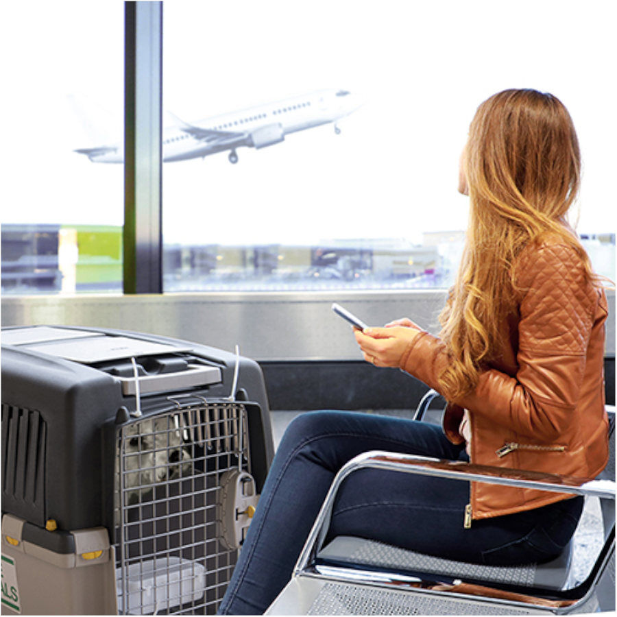 Stefanplast Gulliver 6 IATA transportín para perros thumbnail