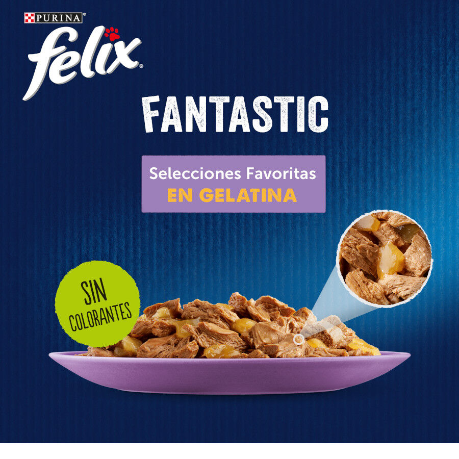 Felix Fantastic Selecciones Favoritas sobres en gelatina thumbnail