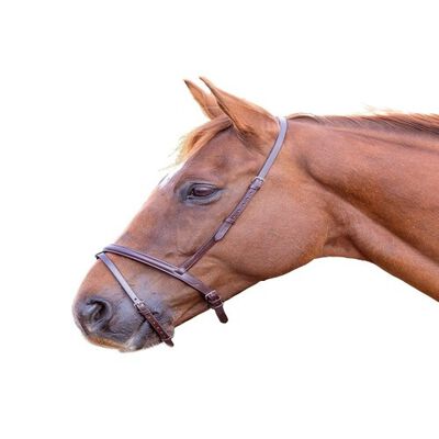Blenheim Cabezada Doble de Cuero Marrón para caballos