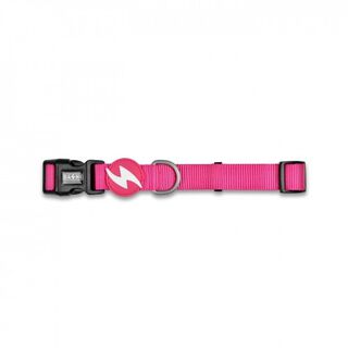 Collar para perros color Rosa