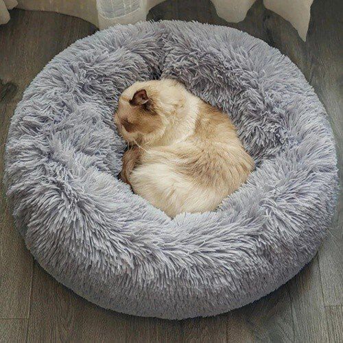 Camas para deals perros tiendanimal