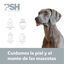 PSH Ozone Sweet Acondicionador para perros y gatos, , large indicador imagen numero 2