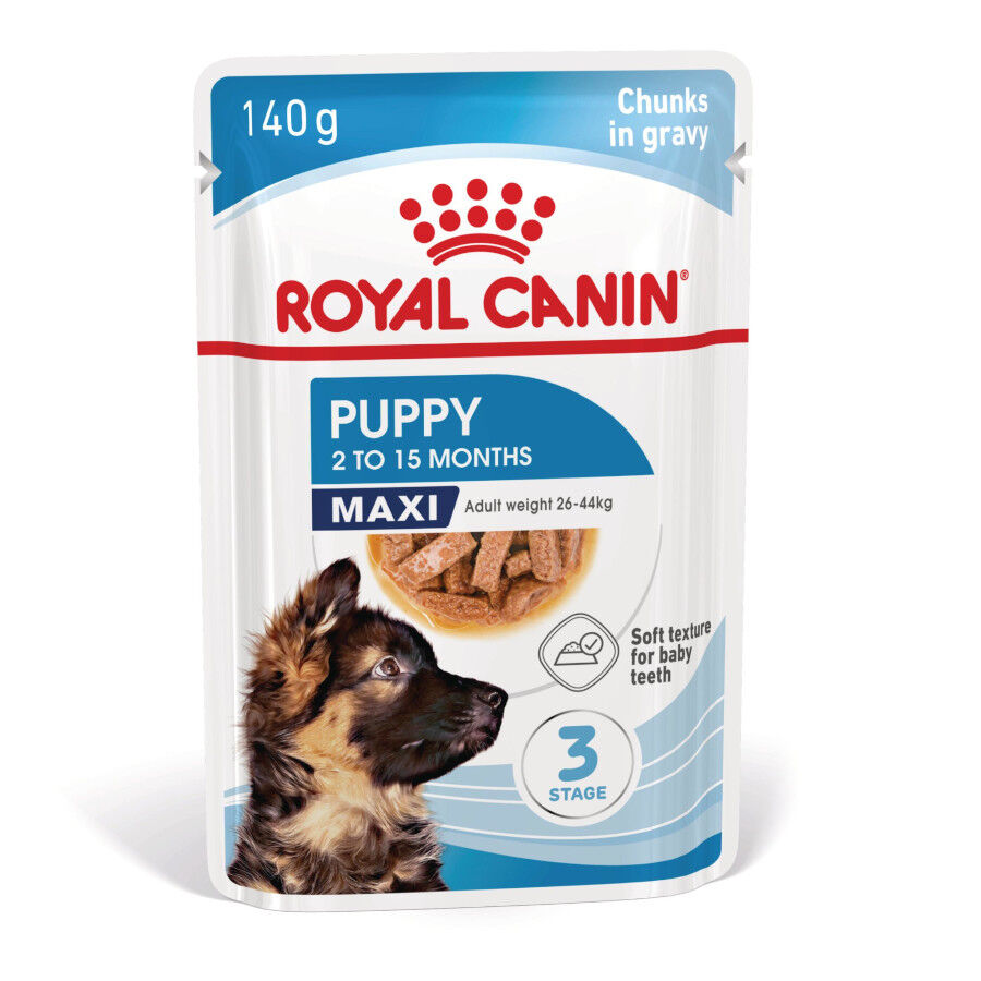 Royal Canin Húmedo Maxi Puppy sobre para perros thumbnail