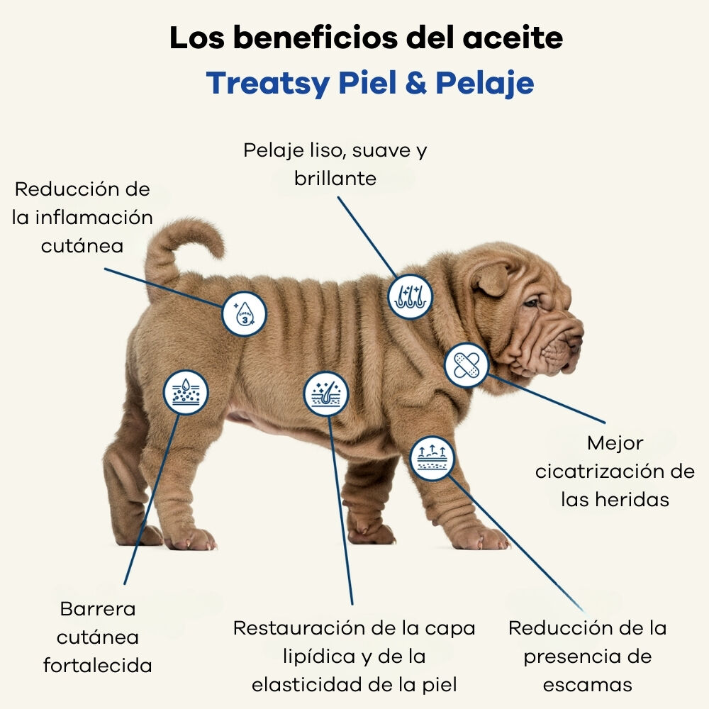 Treatsy Aceite Natural de Pescado Omega-3 &ndash; Piel & Pelaje para Perros y Gatos, , large Imagen numero 3