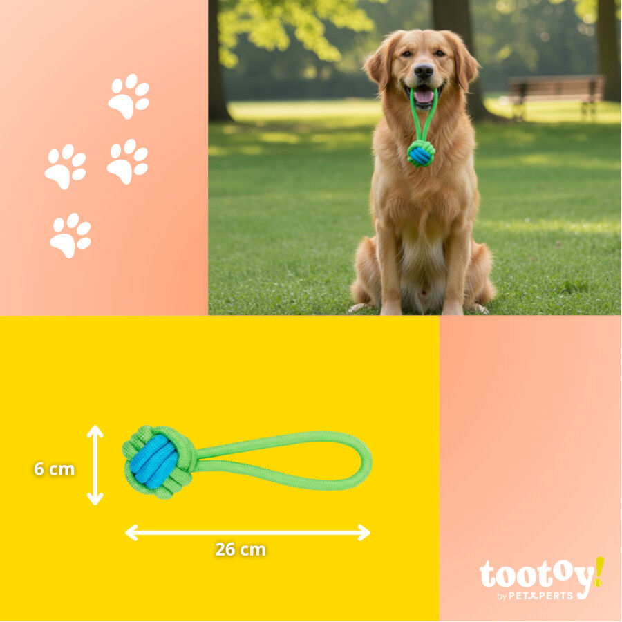 Tootoy! Mordedor de Cuerda con Pelota Verde para perros, , large Imagen numero 4