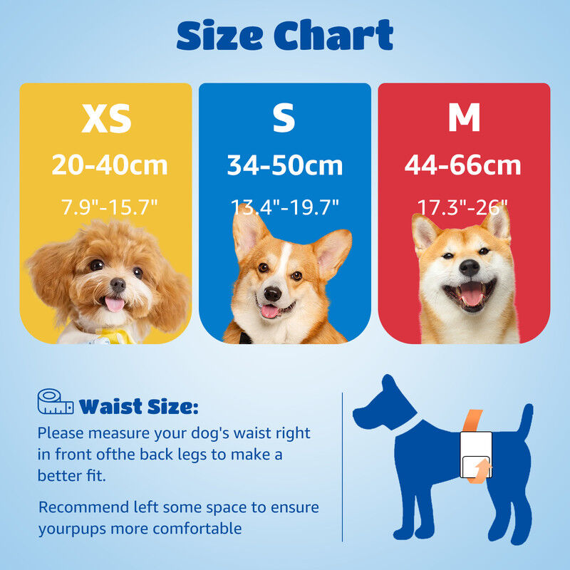 Nobleza 20 Unidades Pa&ntilde;ales Perro Macho Desechables, , large Imagen numero 5