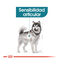 10 kg Royal Canin Joint Care Maxi pienso para perros, , large indicador imagen numero 5