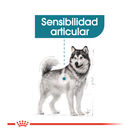 Royal Canin Joint Care Maxi pienso para perros, , large image number null
