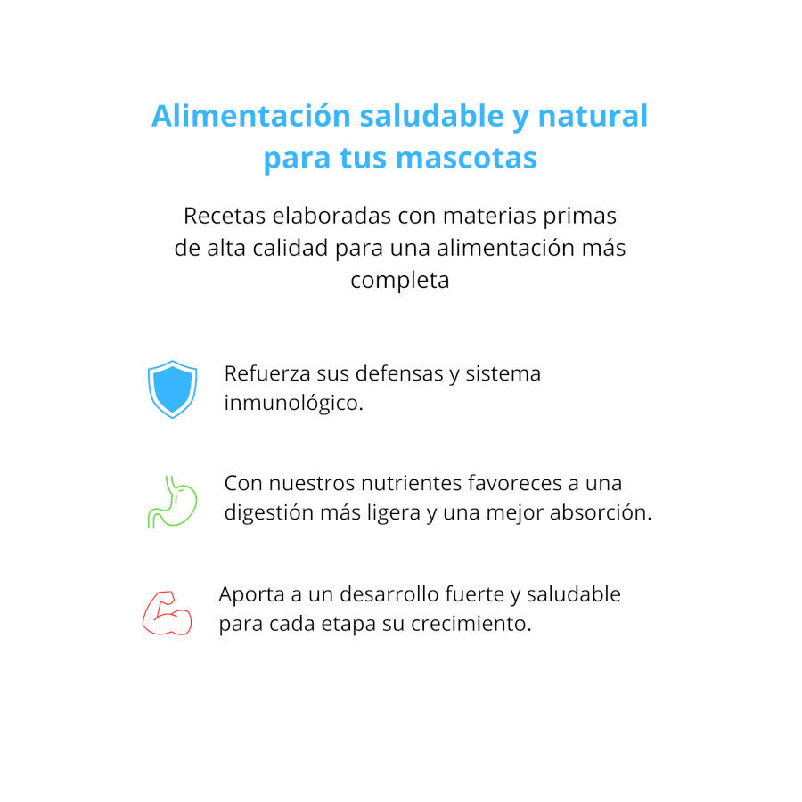 Pienso FIllip Mango para perros de pato, mel&oacute;n y guisantes 400gr, , large Imagen numero 3