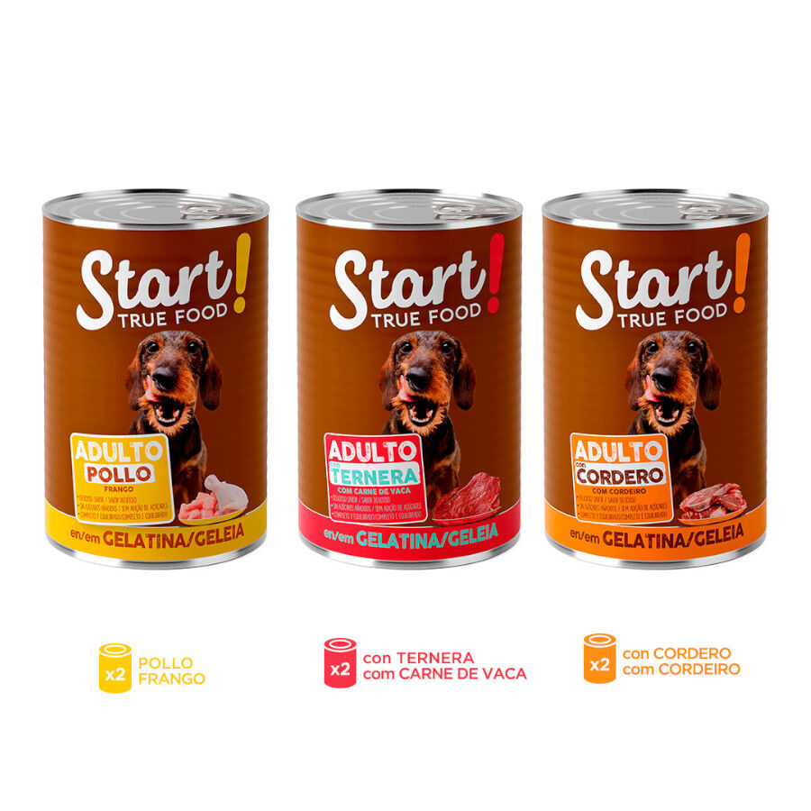 6 latas x 400 g Start! Adult Pollo, Ternera y Cordero en Gelatina lata para perros, , large Imagen numero 3