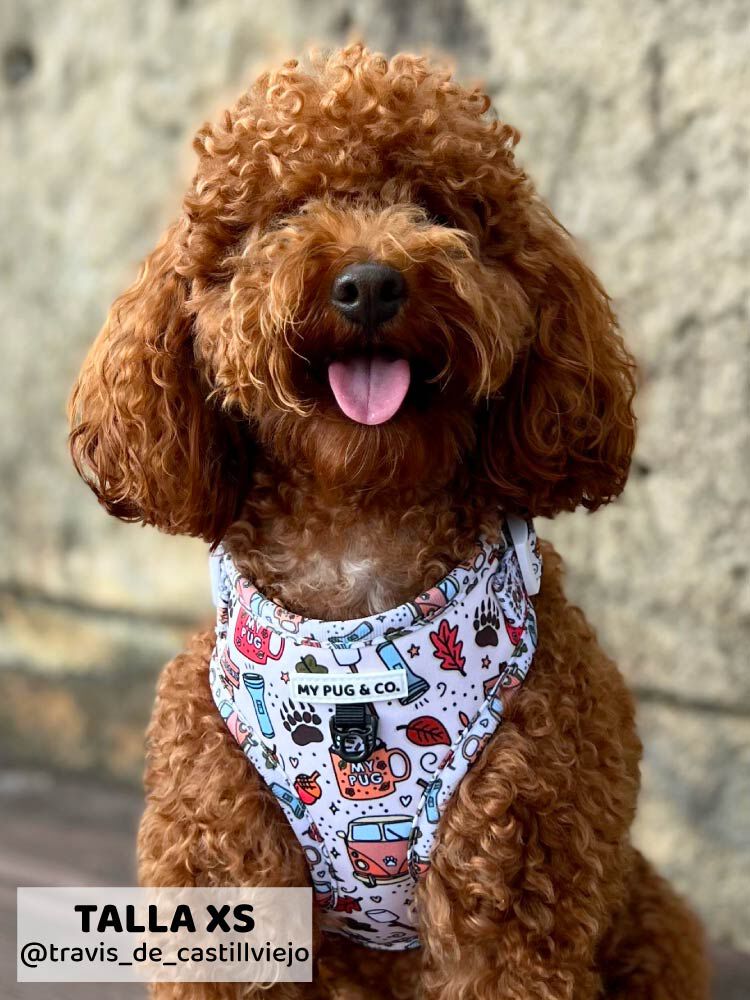 Arn&eacute;s Ajustable Pumpkin Spice, , large Imagen numero 4