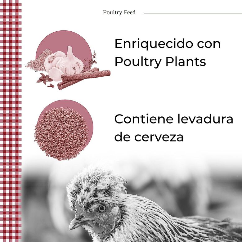 Finca Casarejo Pienso POULTRY FEED Puesta para gallina thumbnail