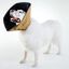 Collar médico para mascotas color Beige, , large indicador imagen numero 13