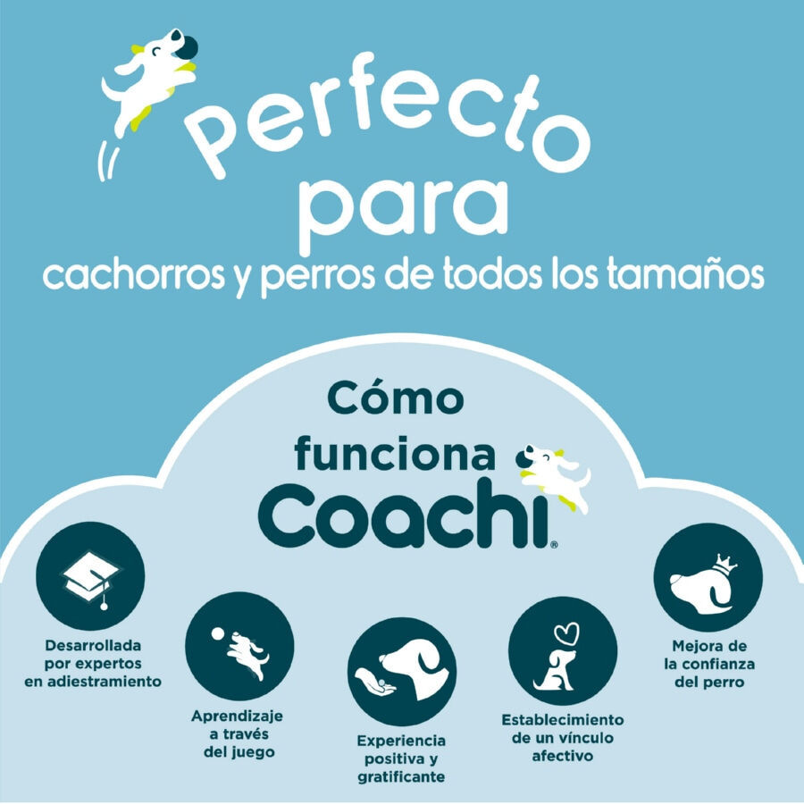 Coachi Training Line Correa de Adiestramiento para perros, , large Imagen numero 8