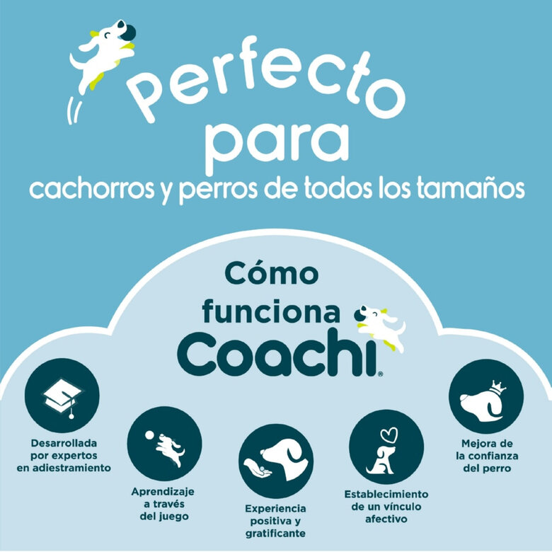 Coachi Training Line Correa de Adiestramiento para perros, , large image number null