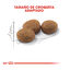 10 kg Royal Canin Regular Sterilised 37 pienso para gatos, , large indicador imagen numero 3