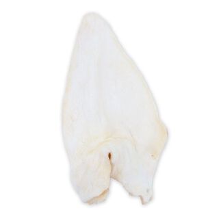Criadores Oreja de búfalo snack natural para perros