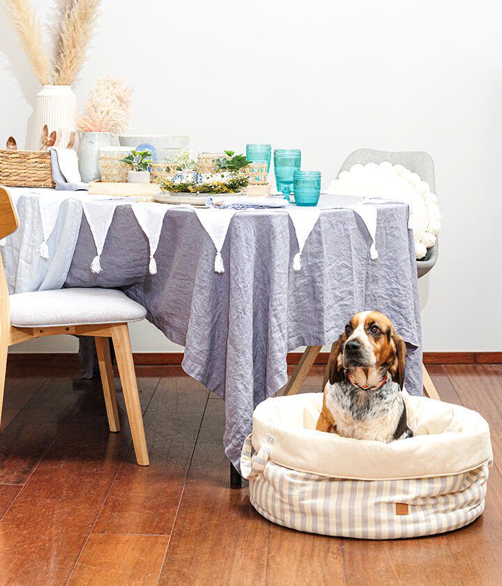 Pet and Co Cesta Feudal Lona Rayas Topo Louis - Perros, , large Imagen numero 4