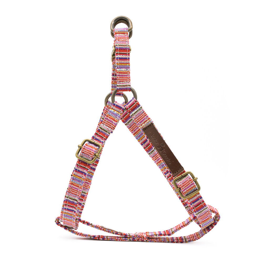 ARN&Eacute;S TOBY - M, , large Imagen numero 1