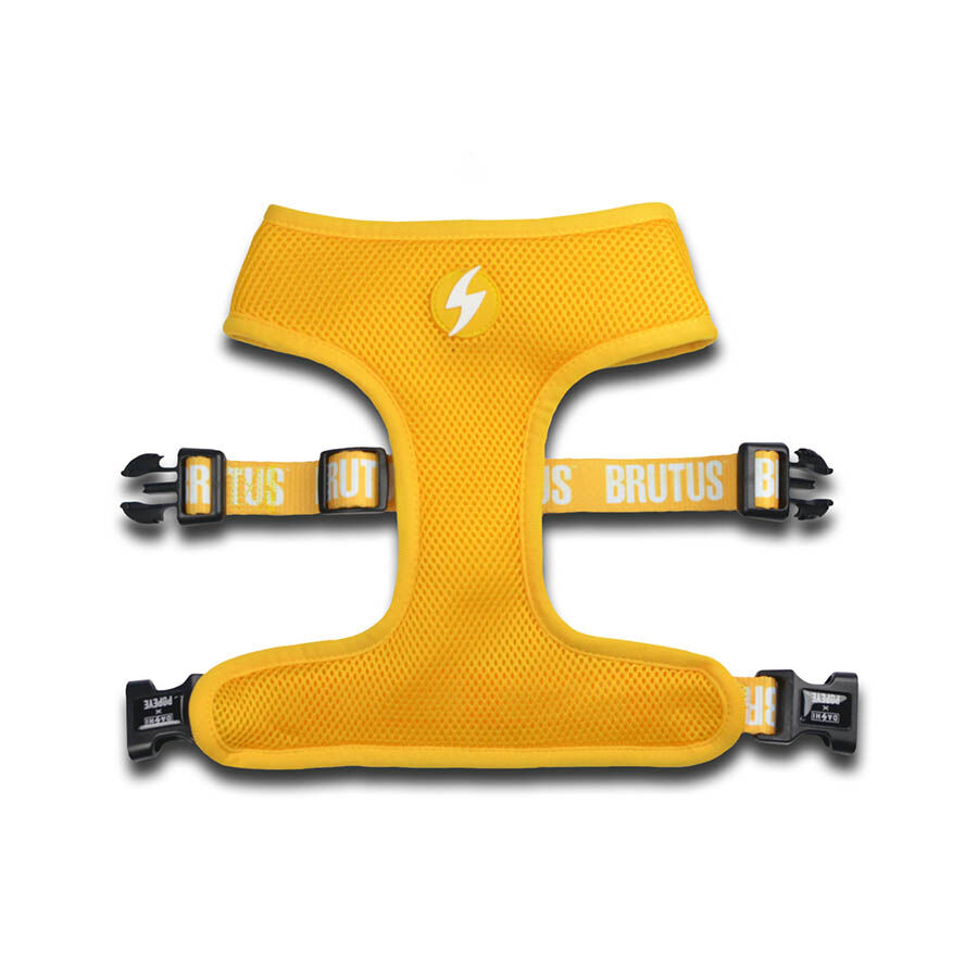 Arn&eacute;s reversible Neo Mesh Brutus para perros color Amarillo, , large Imagen numero 2