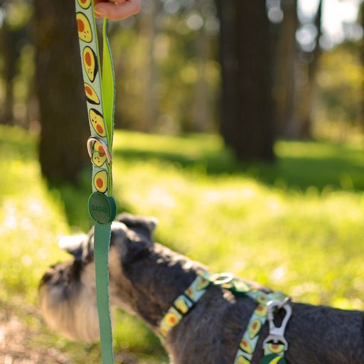 Dashi avocado correa de poli&eacute;ster multicolor para perros, , large Imagen numero 3