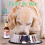 Paradise Aceite 10% CBD Base AOVE Relajante para Gatos y Perros | Hecho en España, , large indicador imagen numero 5
