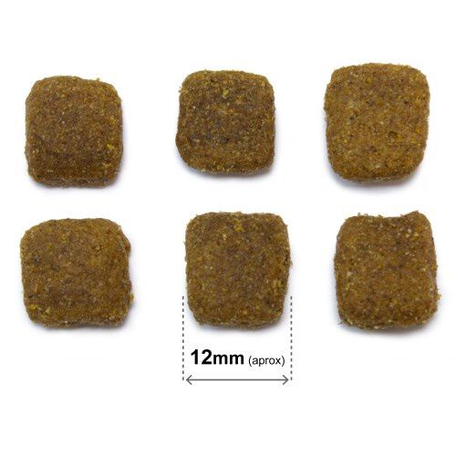 Arquivet original pienso cordero y arroz para perros adultos, , large Imagen numero 3