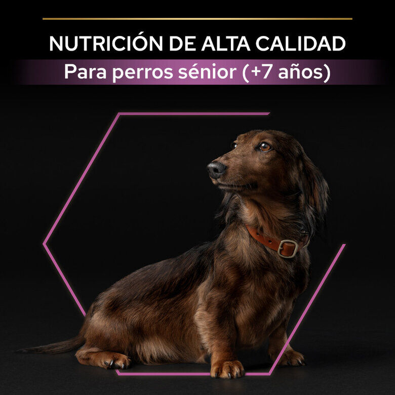 3 kg Pro Plan Adult Small y Mini Pollo pienso para perros S&eacute;nior +9, , large Imagen numero 8